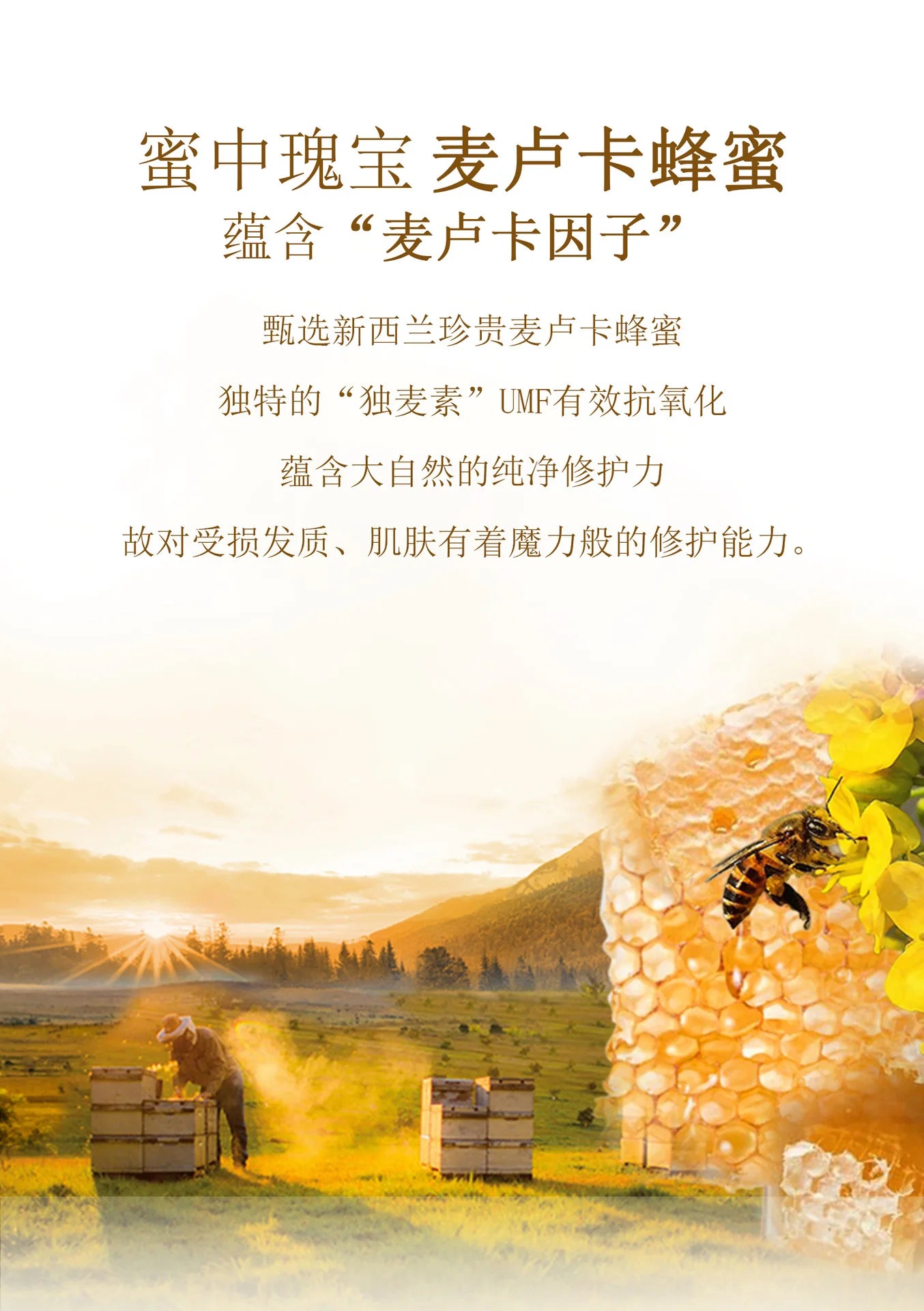 шампунь Nourish Shampoo Conditioner  The Hair Honey Shampoo Clean The Scalp Hair Shampoo and Conditioner 탈모샴푸 수향미