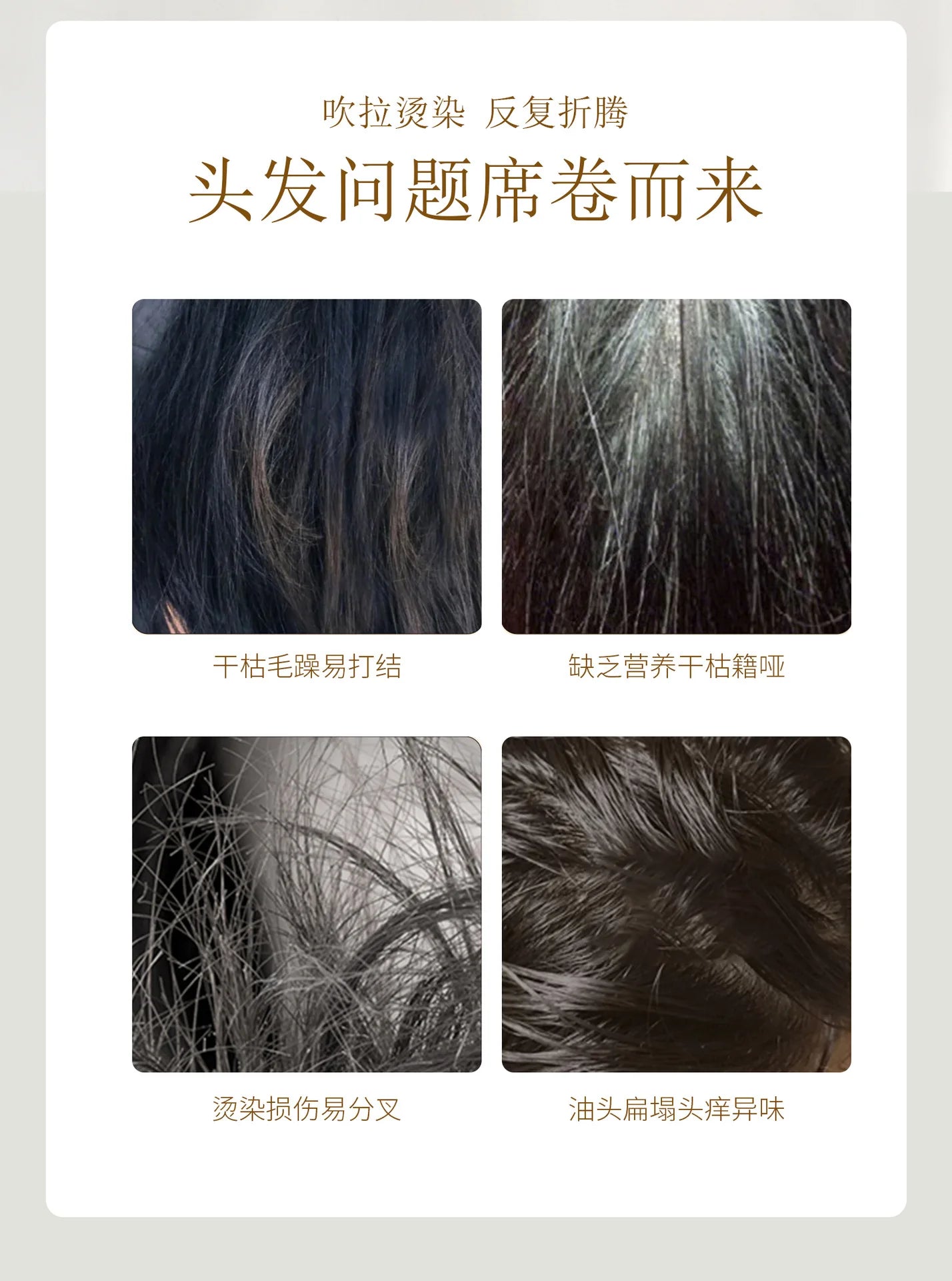 шампунь Nourish Shampoo Conditioner  The Hair Honey Shampoo Clean The Scalp Hair Shampoo and Conditioner 탈모샴푸 수향미